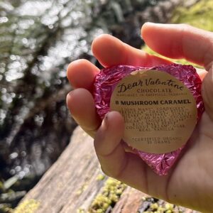 8 Mushroom Caramel Heart